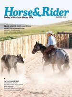 Horse & Rider